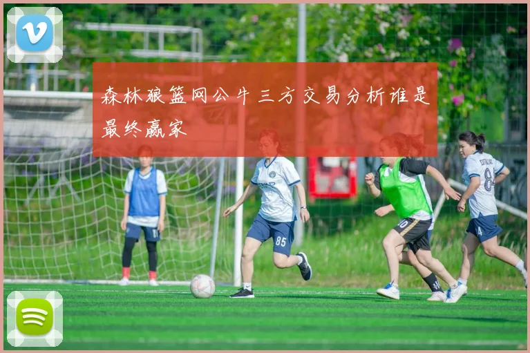 森林狼篮网公牛三方交易分析谁是最终赢家
