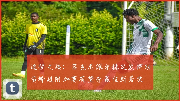 追梦之路：若克尼佩尔稳定发挥助黄蜂进附加赛有望夺最佳新秀奖
