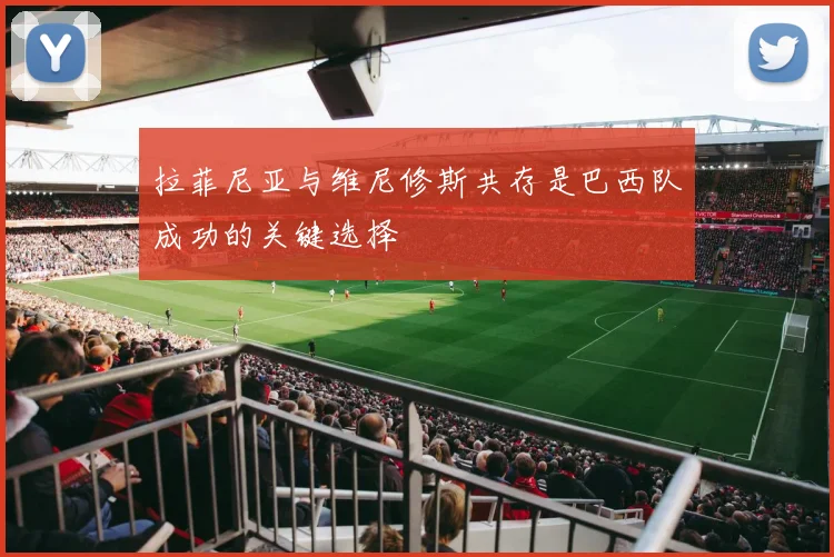 拉菲尼亚与维尼修斯共存是巴西队成功的关键选择